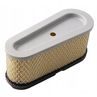 FILTRO ARIA PER MOTORI BRIGGS & STRATTON